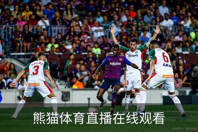 熊猫体育直播在线观看公司介绍